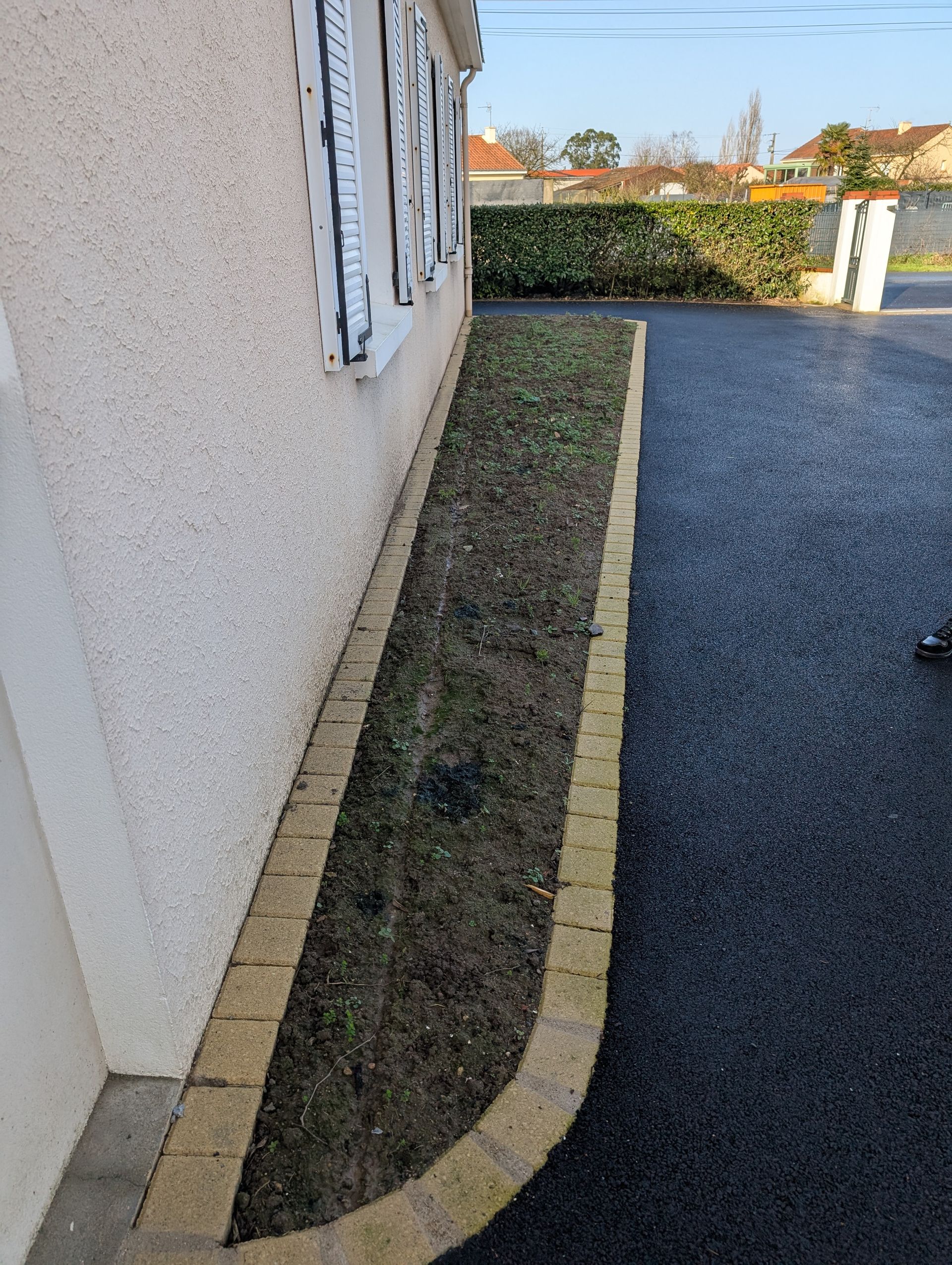 Plantations installées le long d'une maison