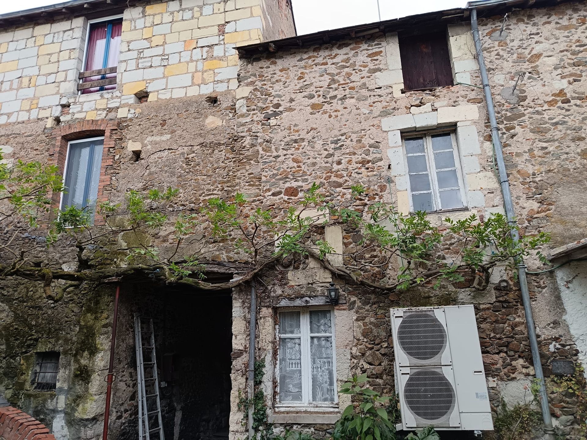 Taille de la glycine le long de la façade d'une maison en pierre