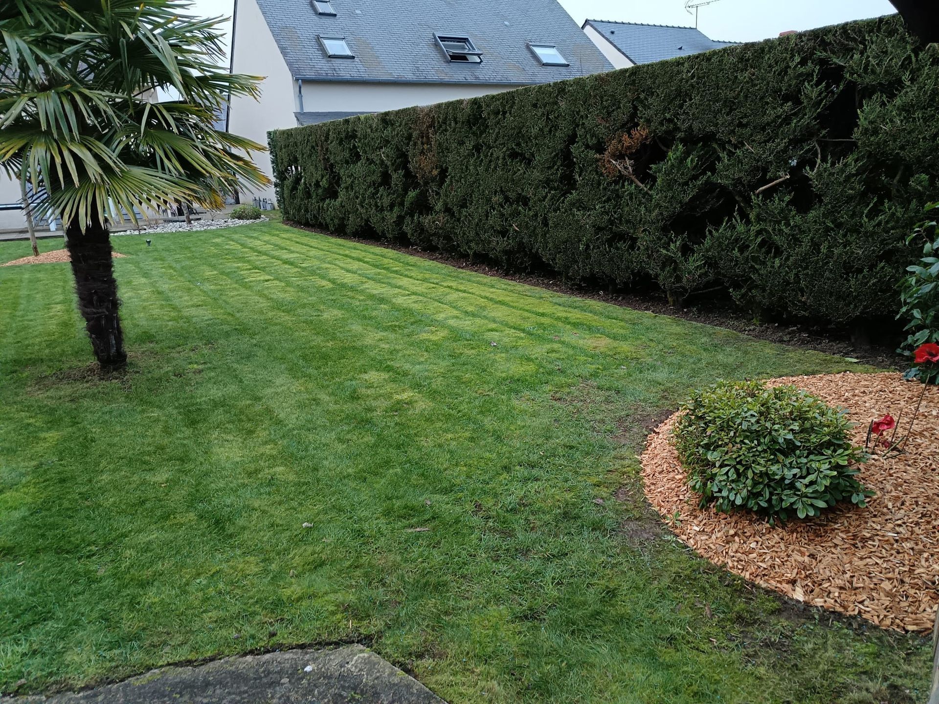 Taille des haies du jardin d'une maison particulière