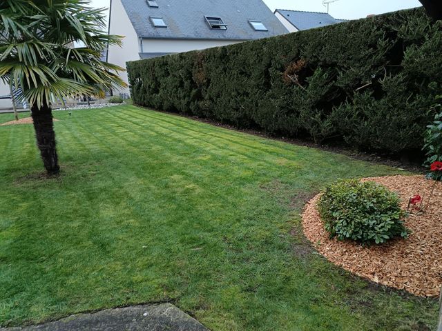 Taille des haies du jardin d'une maison particulière