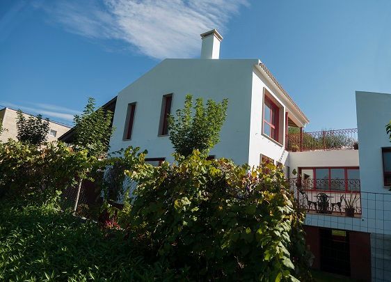 Casa blanca con ventanas de marco rojo, rodeada de follaje verde, bajo un cielo azul.