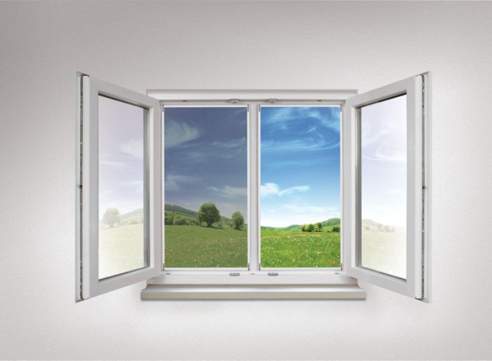 Insektenschutzgitter von Streit und Kriener GmbH am Fenster