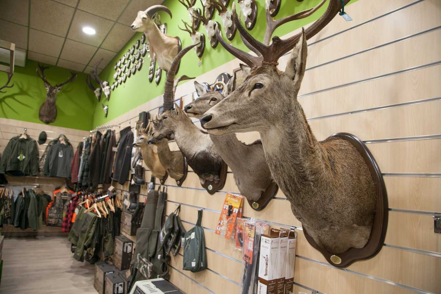 Cabezas de ciervos y otros animales montadas en la pared de una tienda de caza, con percheros al fondo.