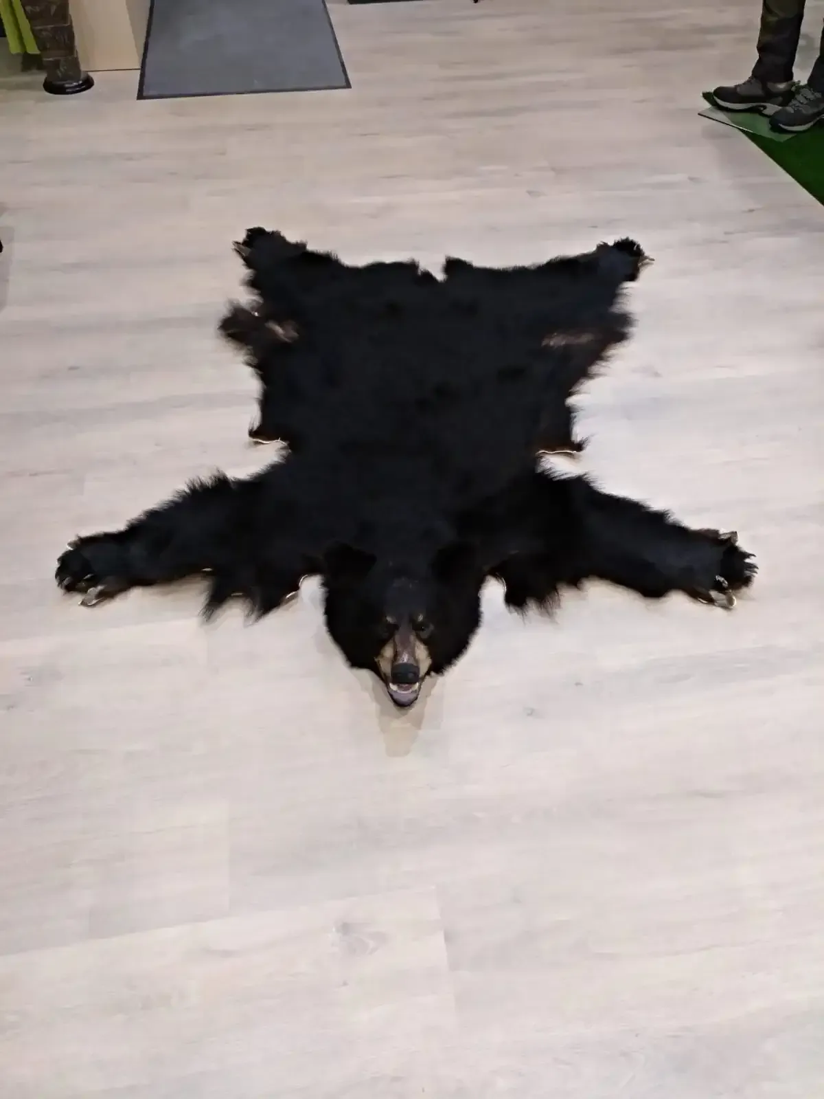 Alfombra de oso negro sobre suelo de madera clara con cabeza y patas extendidas.
