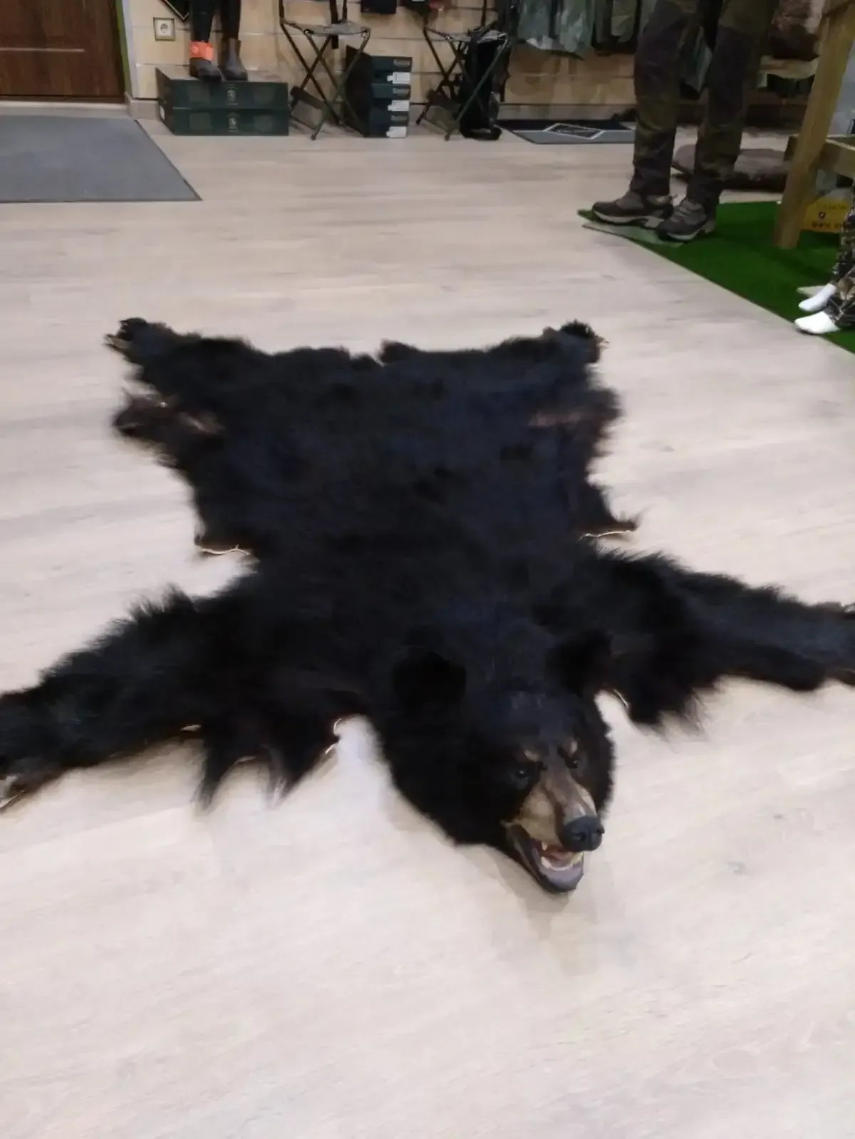 Alfombra de piel de oso negro colocada sobre un suelo de color claro, con la boca abierta, pelaje oscuro y cabeza visible.
