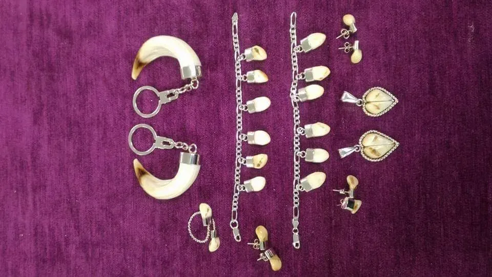 Artículos de joyería que incluyen llaveros, aretes y colgantes hechos con colmillos de animales sobre tela violeta.