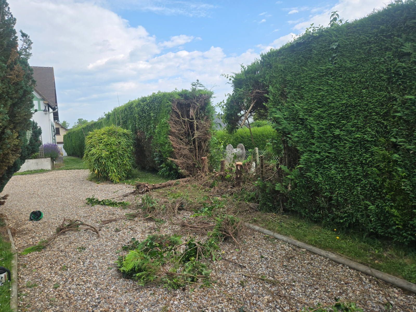 Abattage de haie pour pose de clôture