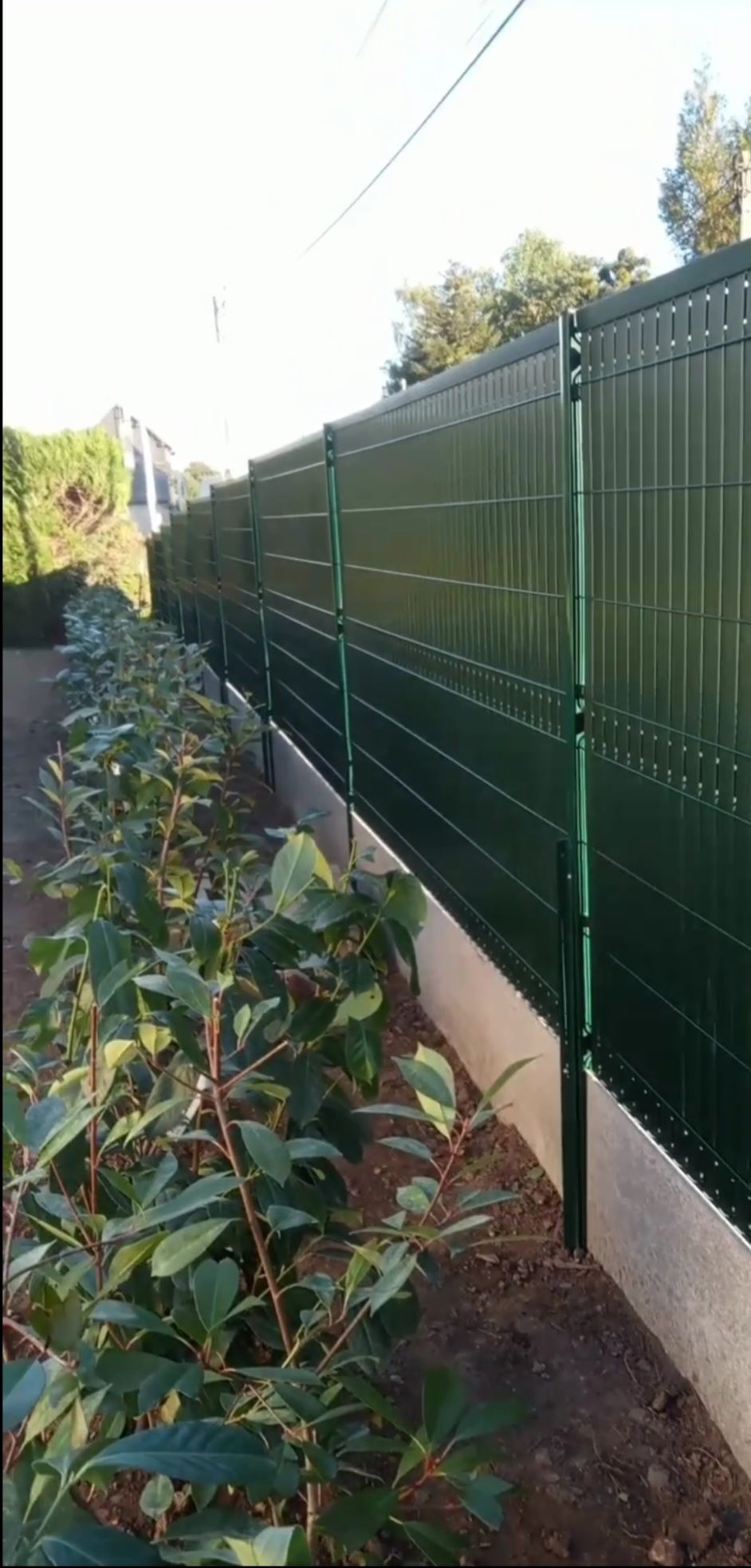 Clôture verte opaque