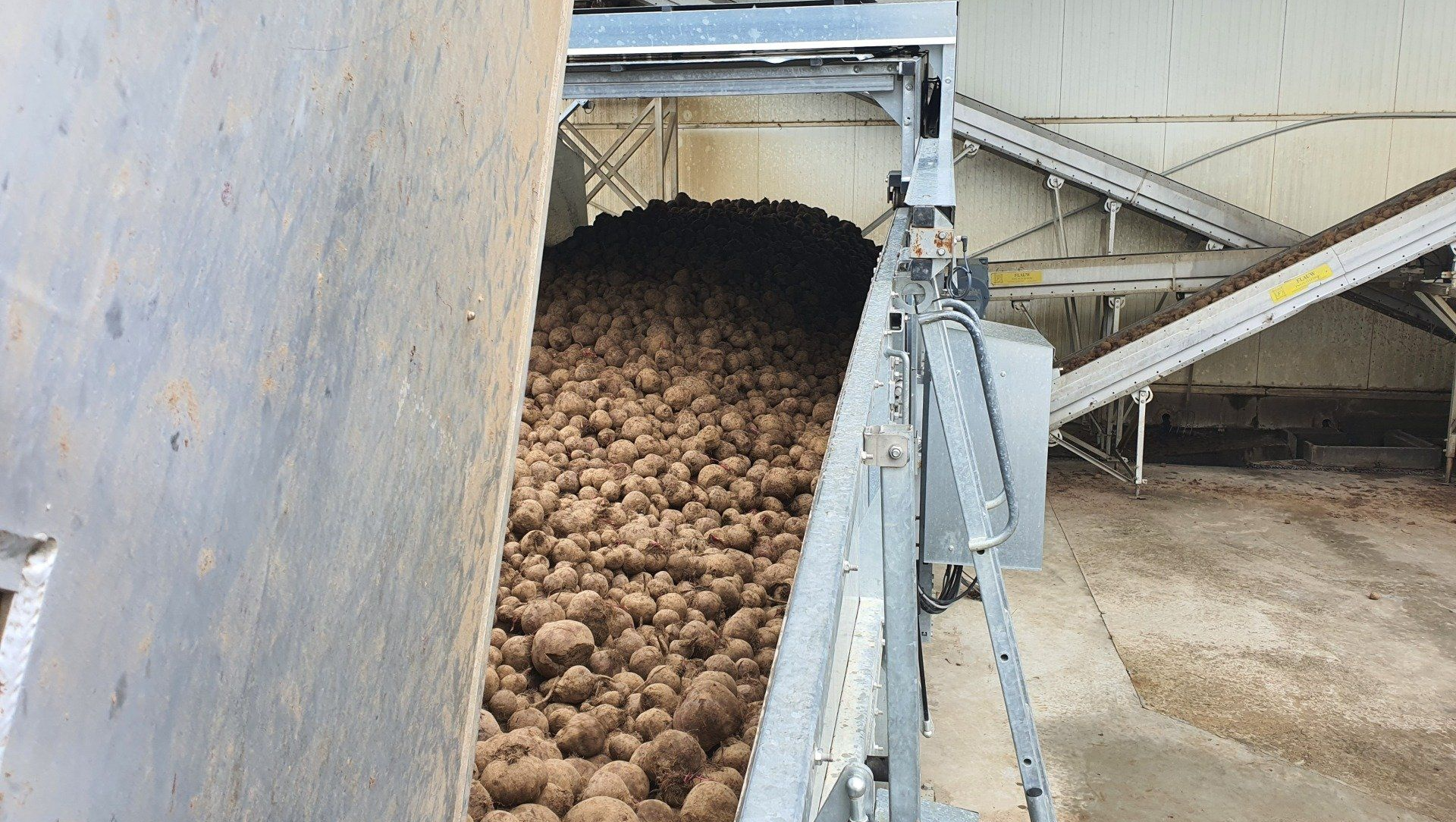 Livraison pommes de terre en vrac
