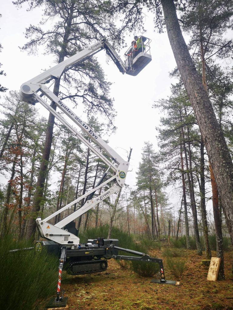 Service d'élagage d'arbres utilisant une nacelle élévatrice en forêt. Deux personnes dans la nacelle.