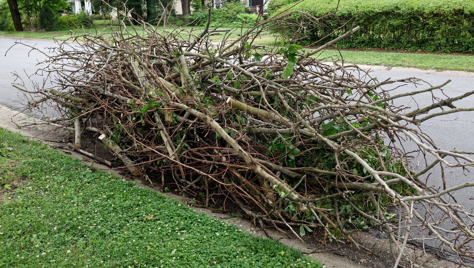 Un tas de branches et de feuilles mortes sur un trottoir, à côté de l'herbe verte et de la rue.