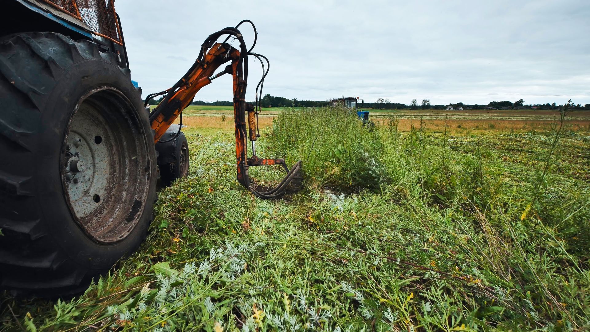 Un tracteur récolte les plantes d'un champ sous un ciel couvert.