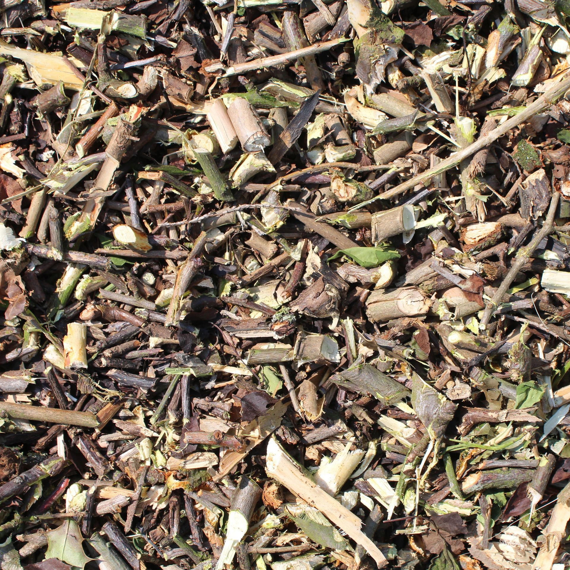 Copeaux de bois, petits morceaux de bois coupés, brindilles et feuilles.