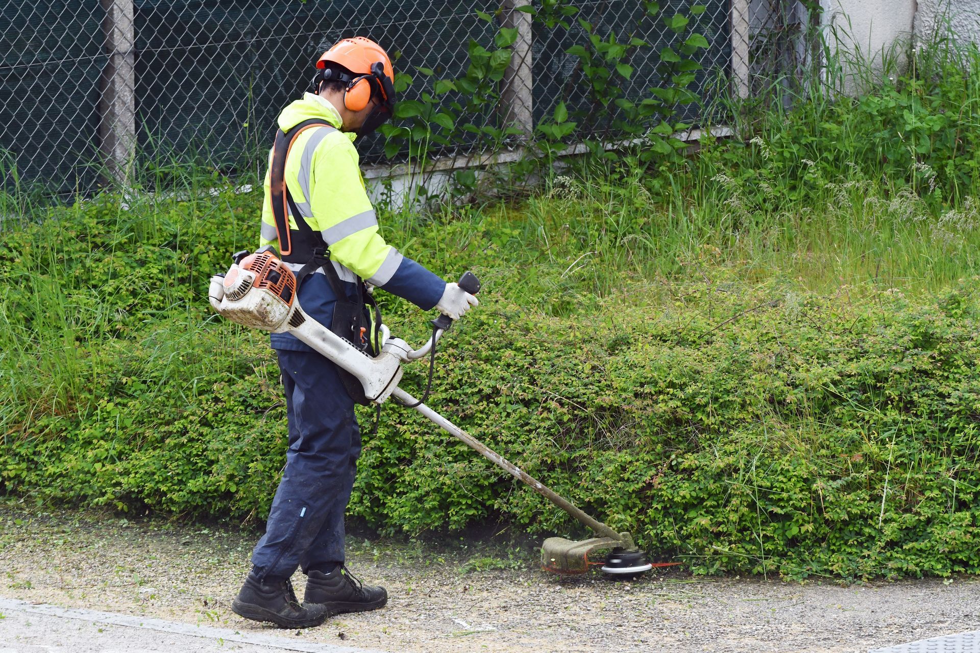 Une personne portant un équipement de sécurité utilise un coupe-bordures près d'une haie et d'une clôture.