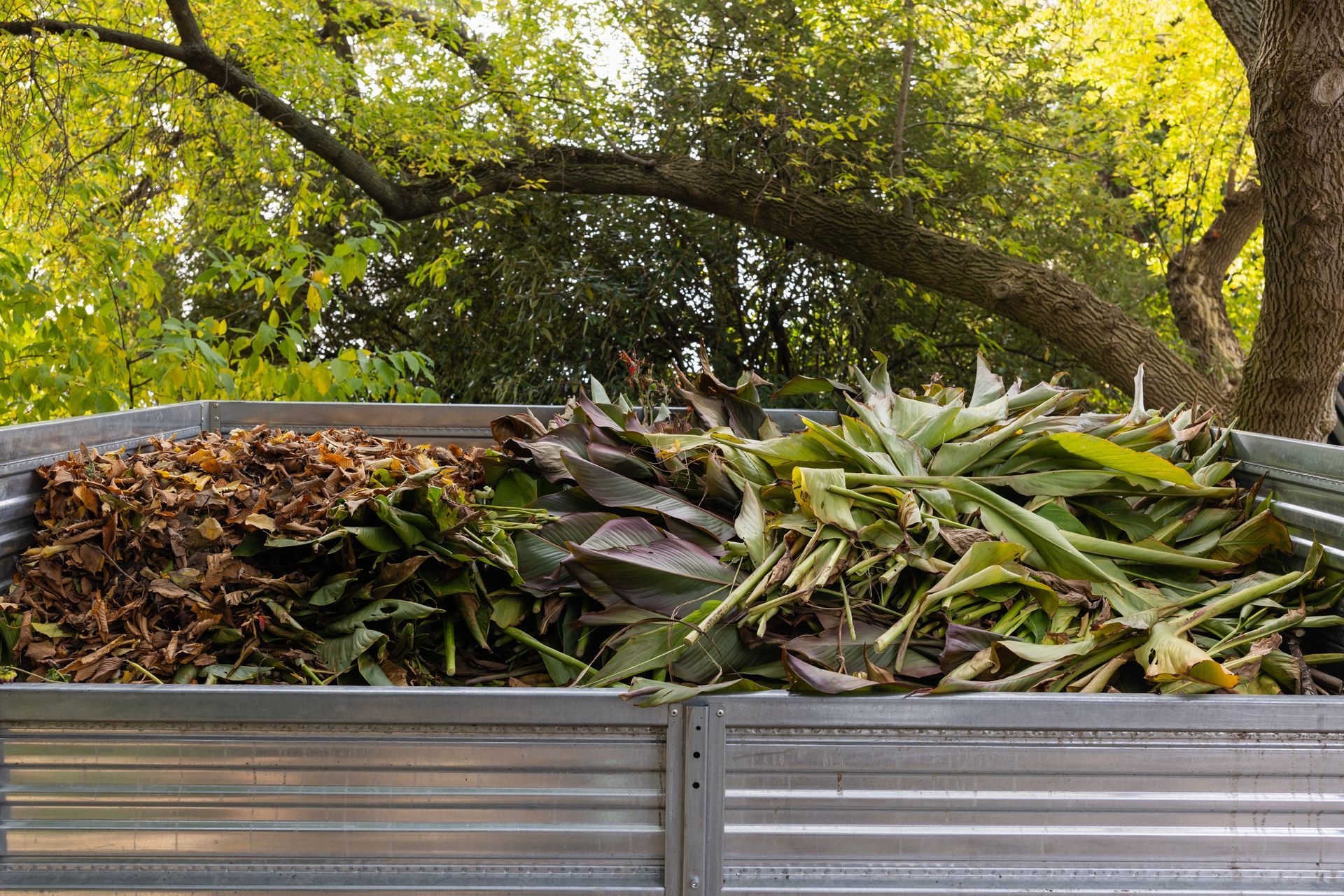 Bac à compost rempli de feuilles brunes et de débris végétaux verts, placé à l'extérieur sous un arbre.