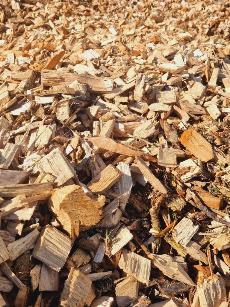 Un tas de copeaux de bois clairs, de formes et de tailles variées, éparpillés sur le sol.
