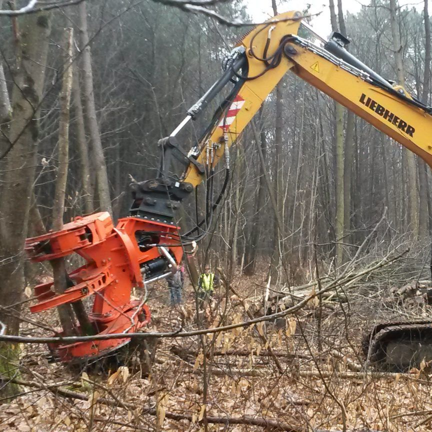 Machine forestière orange coupant un arbre en forêt. Bras jaune. Milieu humide et boisé.