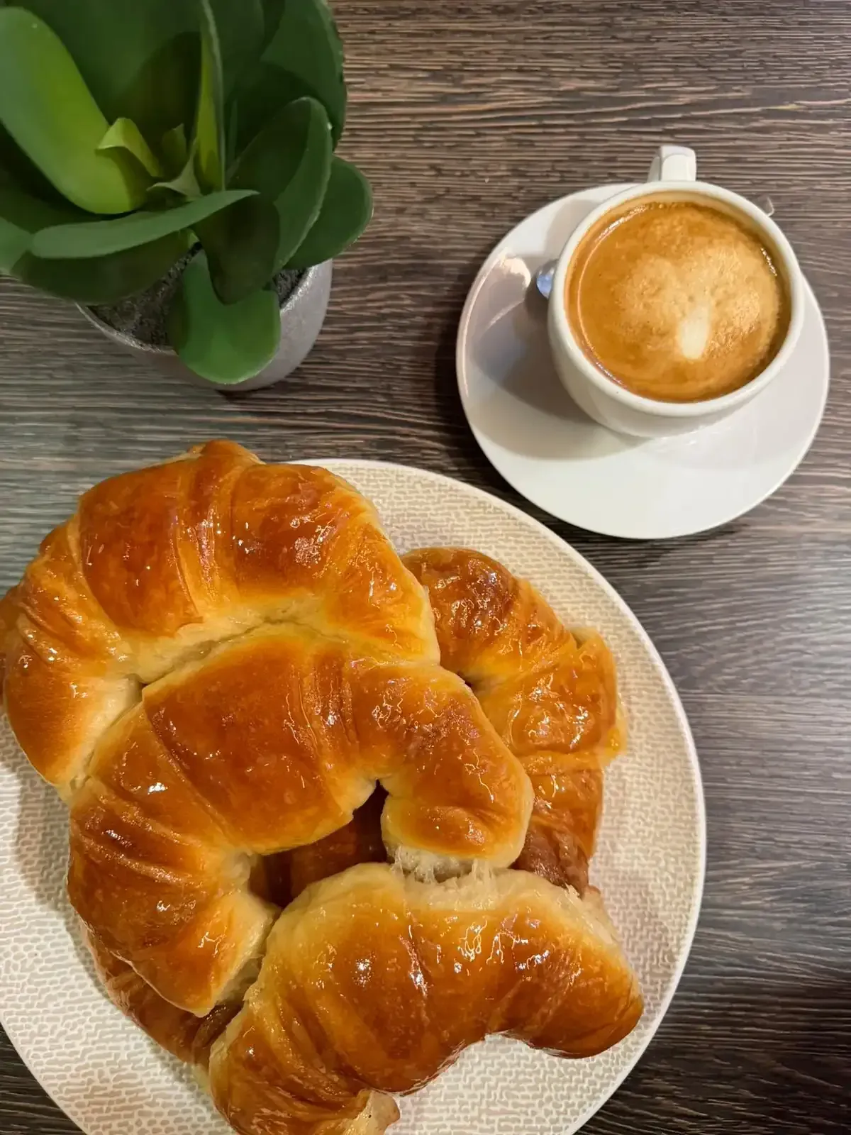 Croissants en un plato junto a un capuchino y una pequeña planta en maceta sobre una mesa de madera.