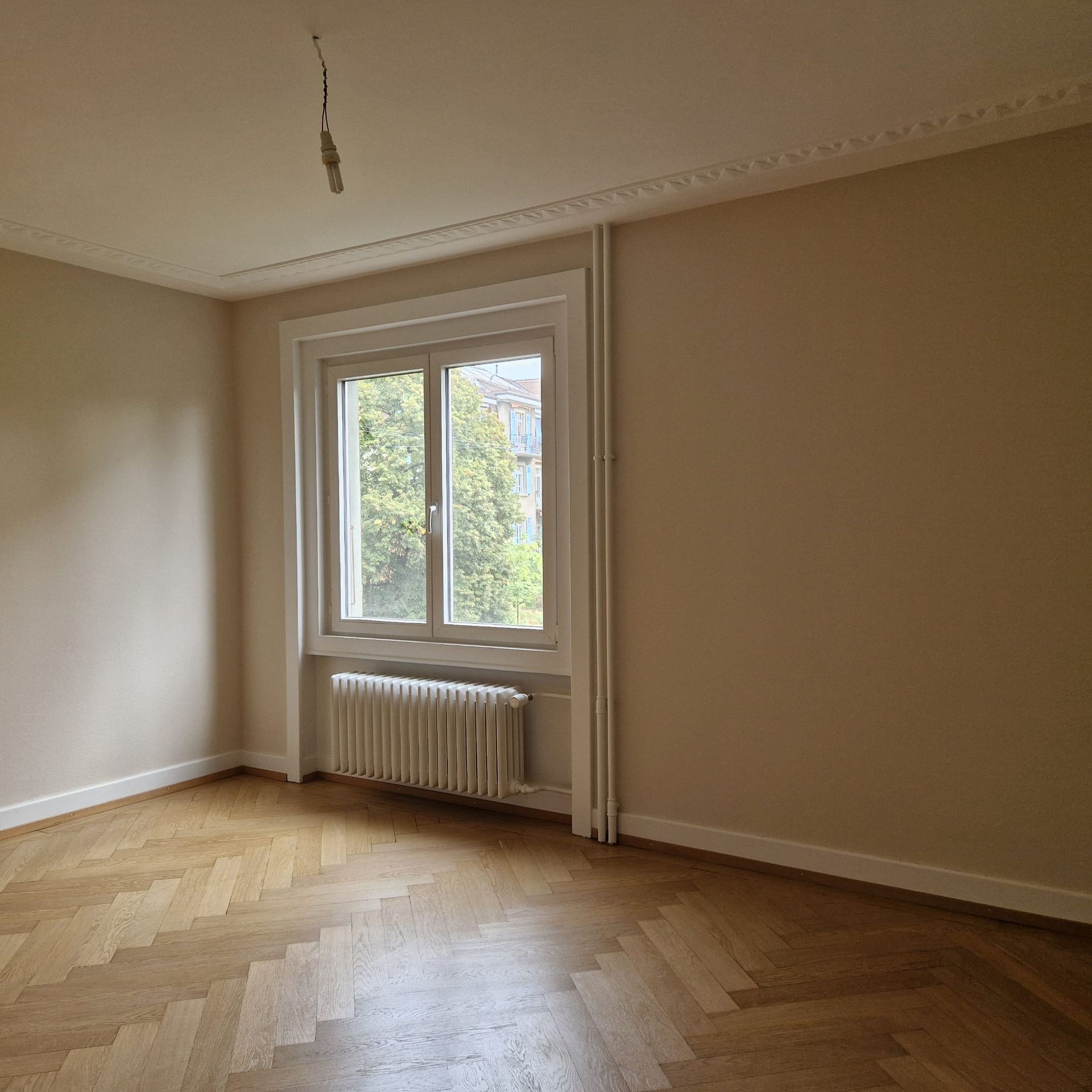 Une image d'une montagne avec un cercle blanc au milieu.