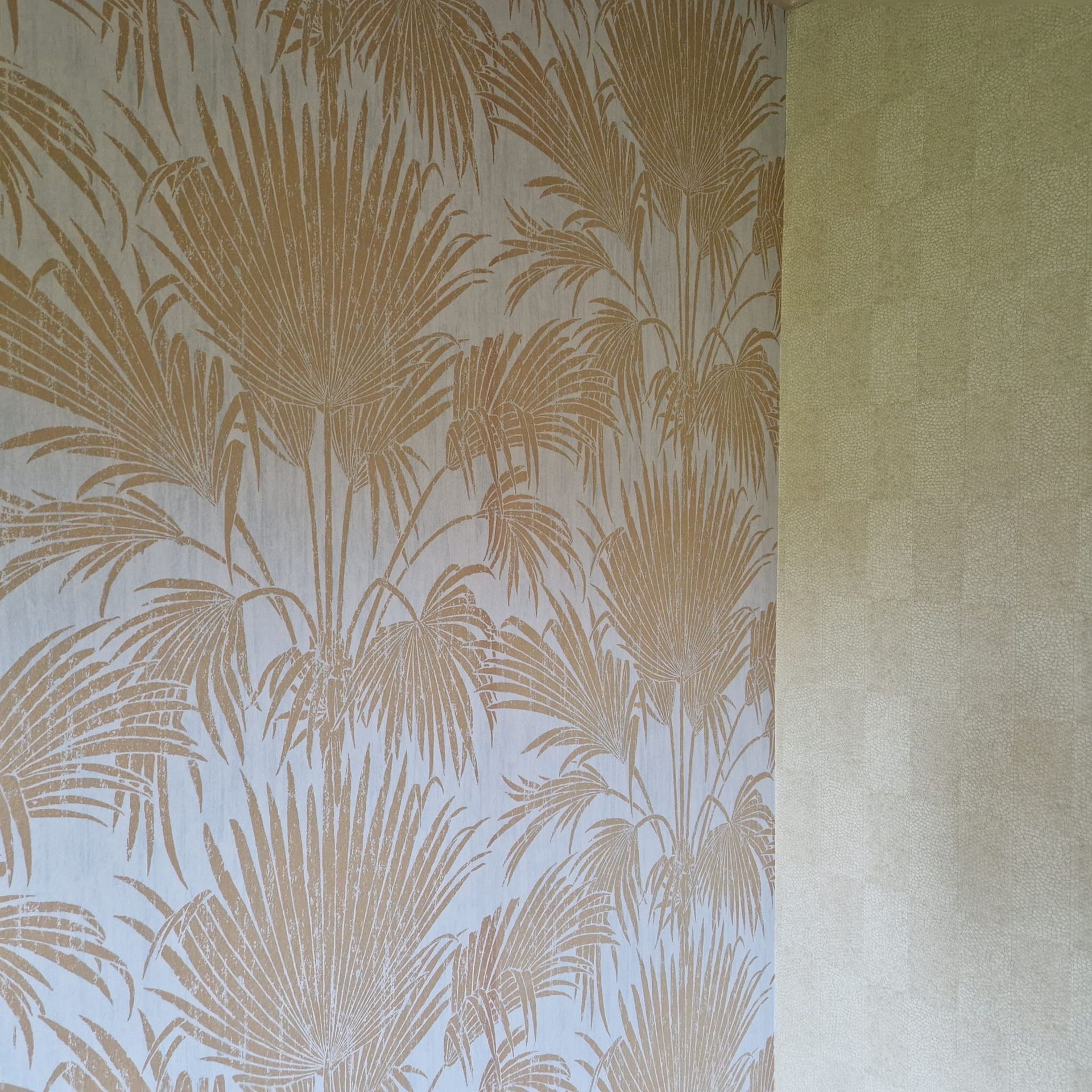 Une image d'une montagne avec un cercle blanc au milieu.