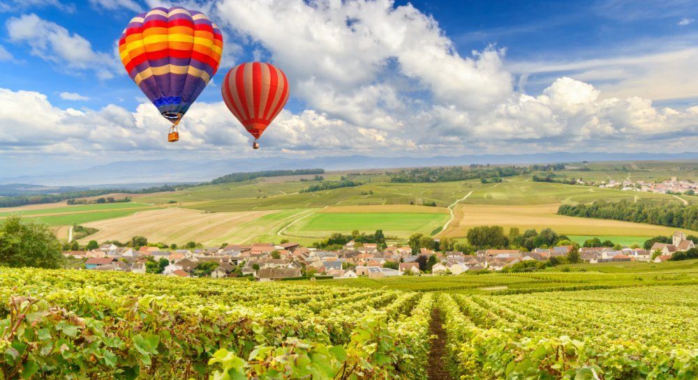 Montgolfières au-dessus des vignes