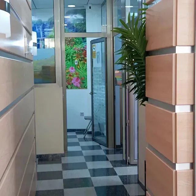 Un pasillo con suelo cuadriculado y una planta en la esquina.