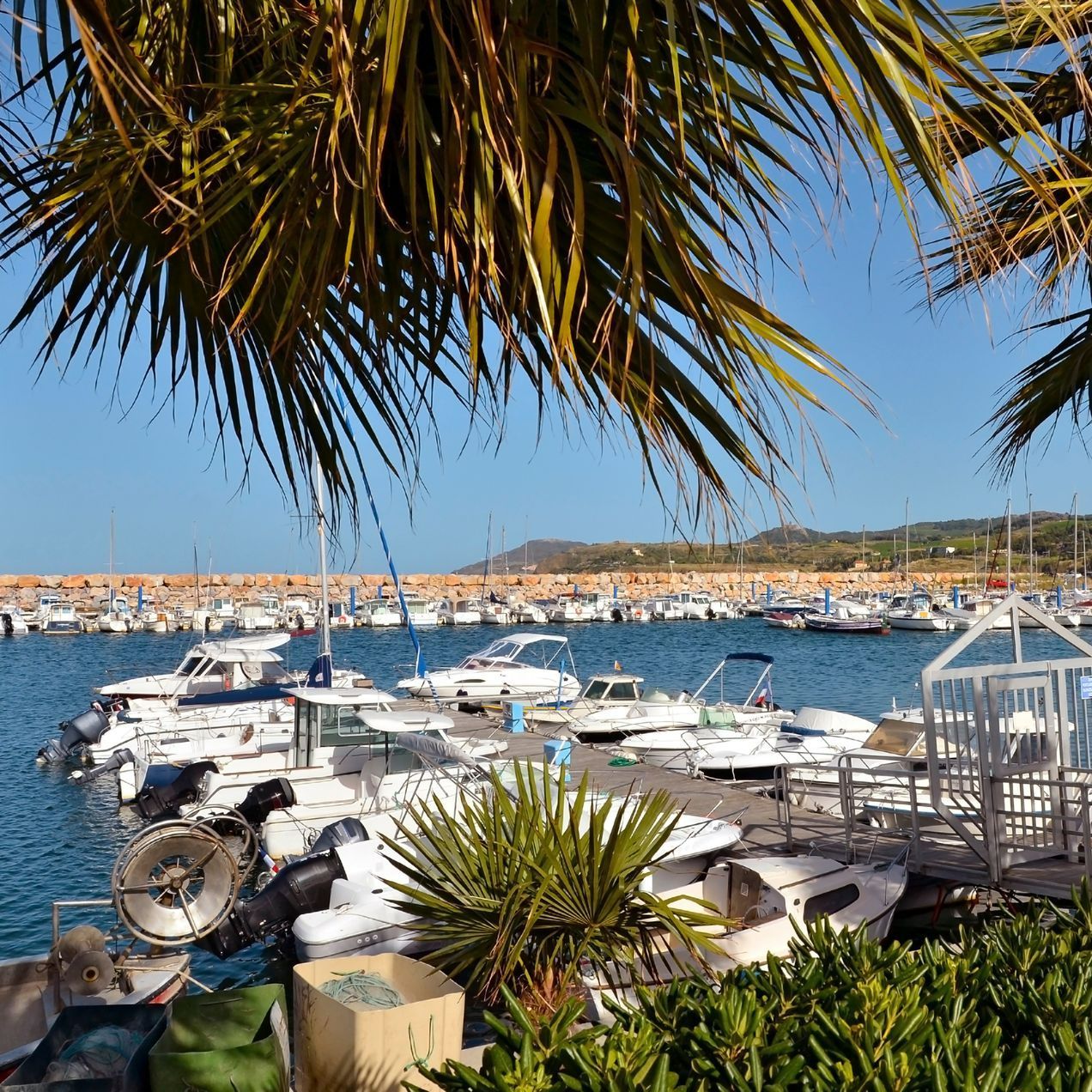 Port d'Argelès-sur-Mer