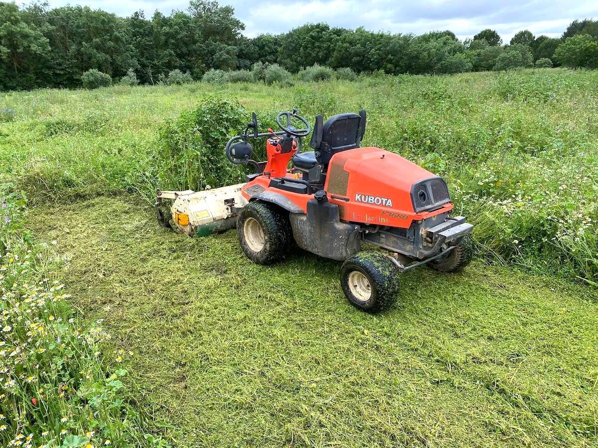 Tondeuse et hautes herbes