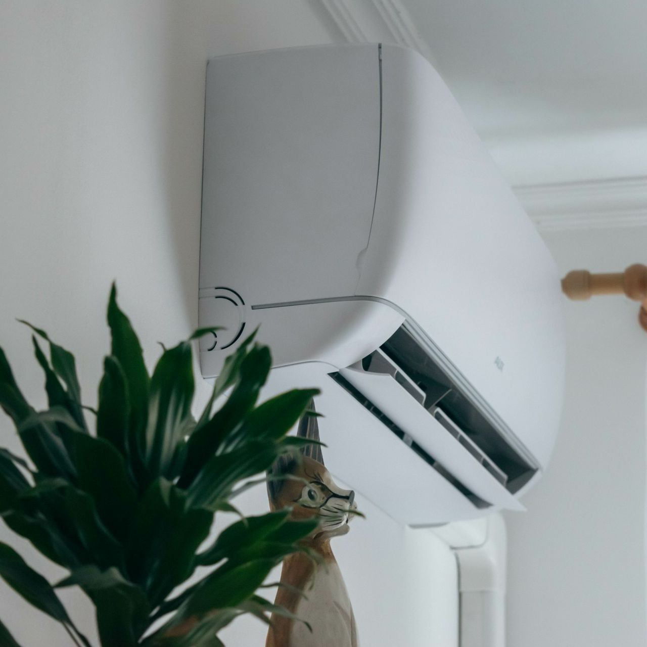 Une climatisation avec une plante