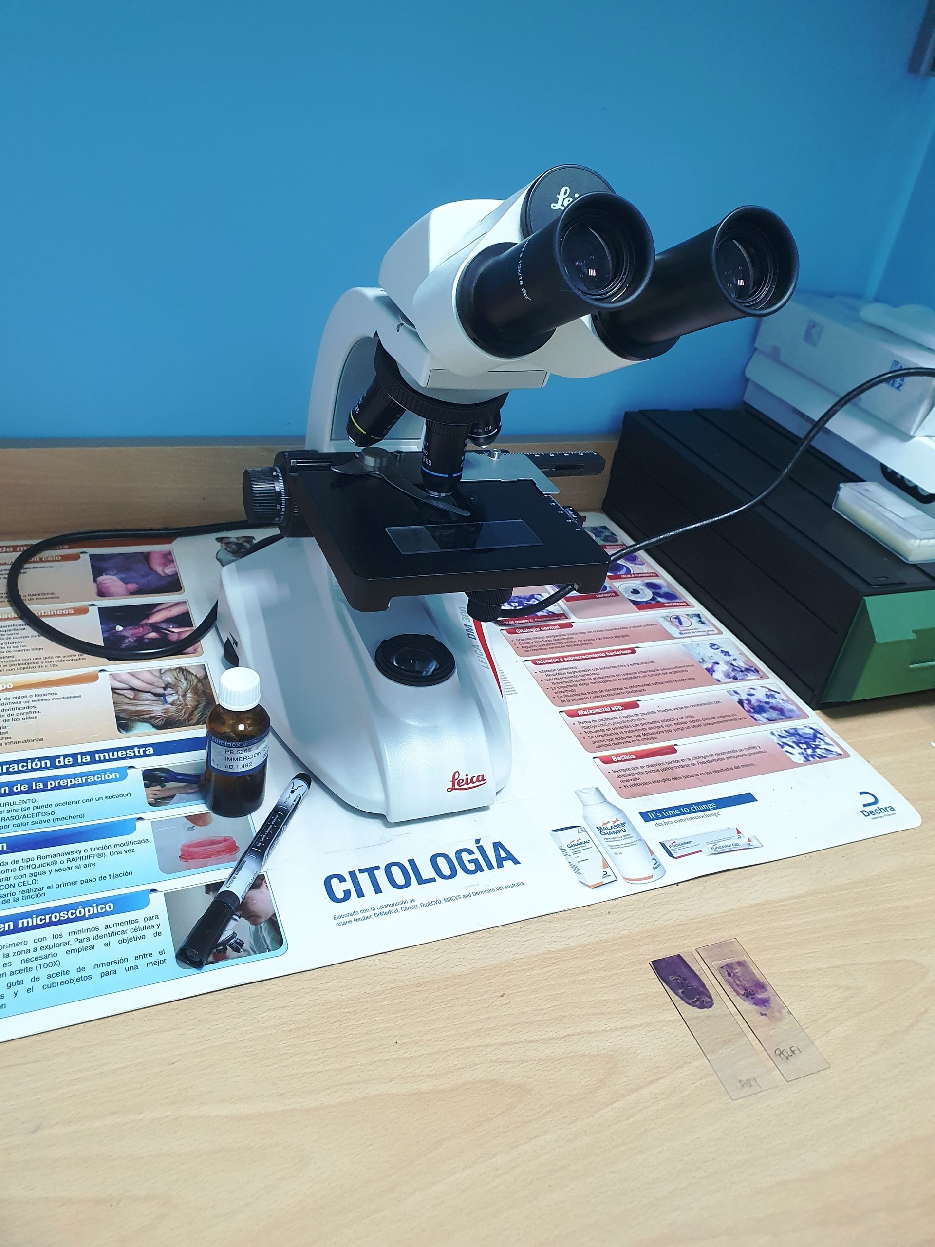 Un microscopio está sobre una alfombra que dice citología.