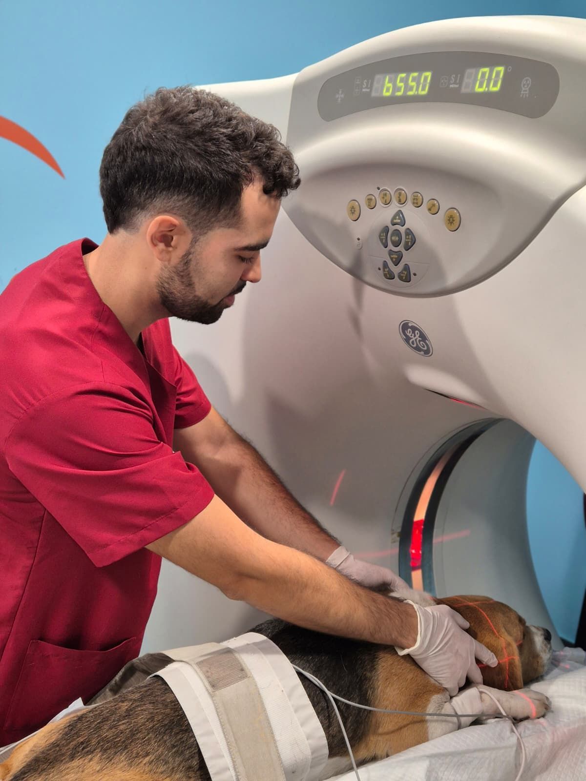 Un veterinario con bata roja prepara a un perro para una tomografía computarizada. El perro está sobre una mesa dentro del escáner.