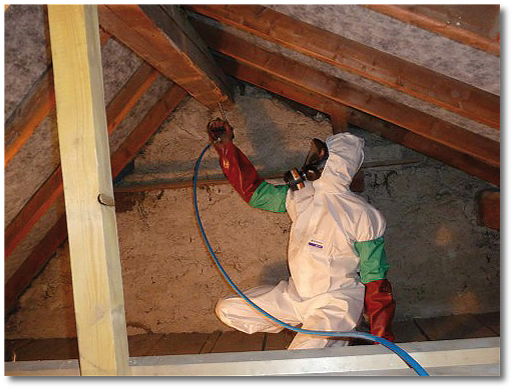 Traitement de charpente