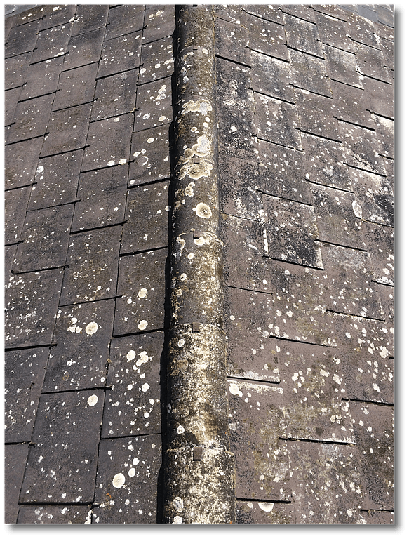 Nettoyage et démoussage de toit