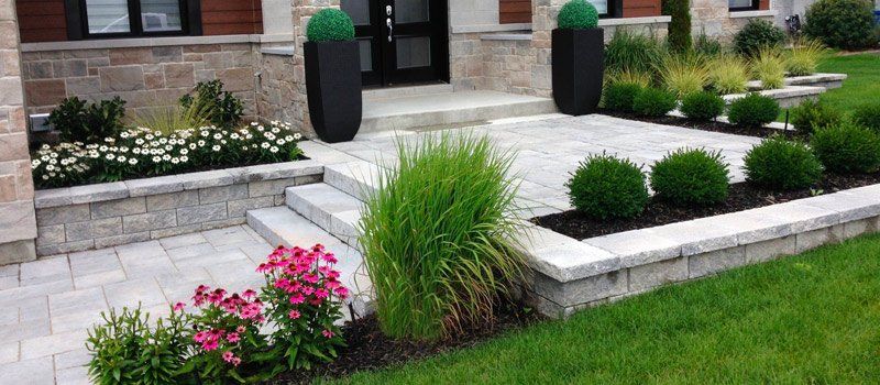 Terrasse avec fleurs et arbustes