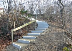 Unbefestigter Pfad im Freien mit einer kurzen Holztreppe und einem Handlauf an einem bewaldeten Hang