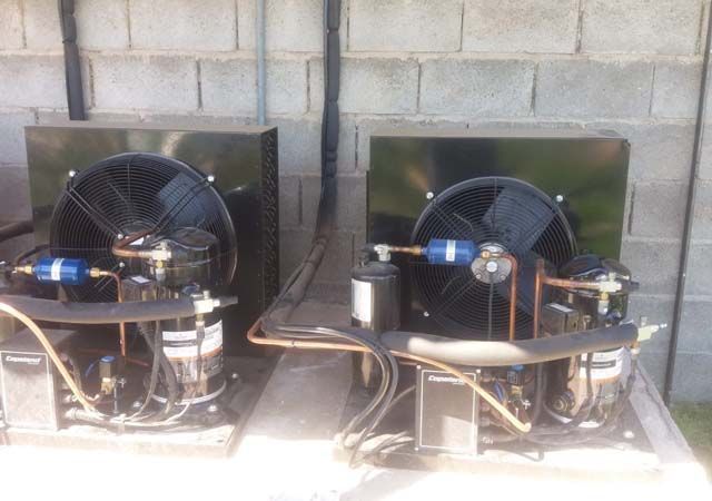 Dos fanáticos están sentados uno al lado del otro frente a una pared de ladrillos.