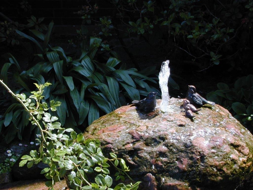 Zwei Vögel sitzen auf einem Felsen in der Nähe eines Brunnens