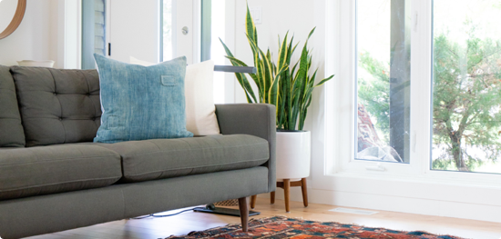 Sauberes Wohnzimmer mit Sofa und Pflanzen nach Wohnungsreinigung.