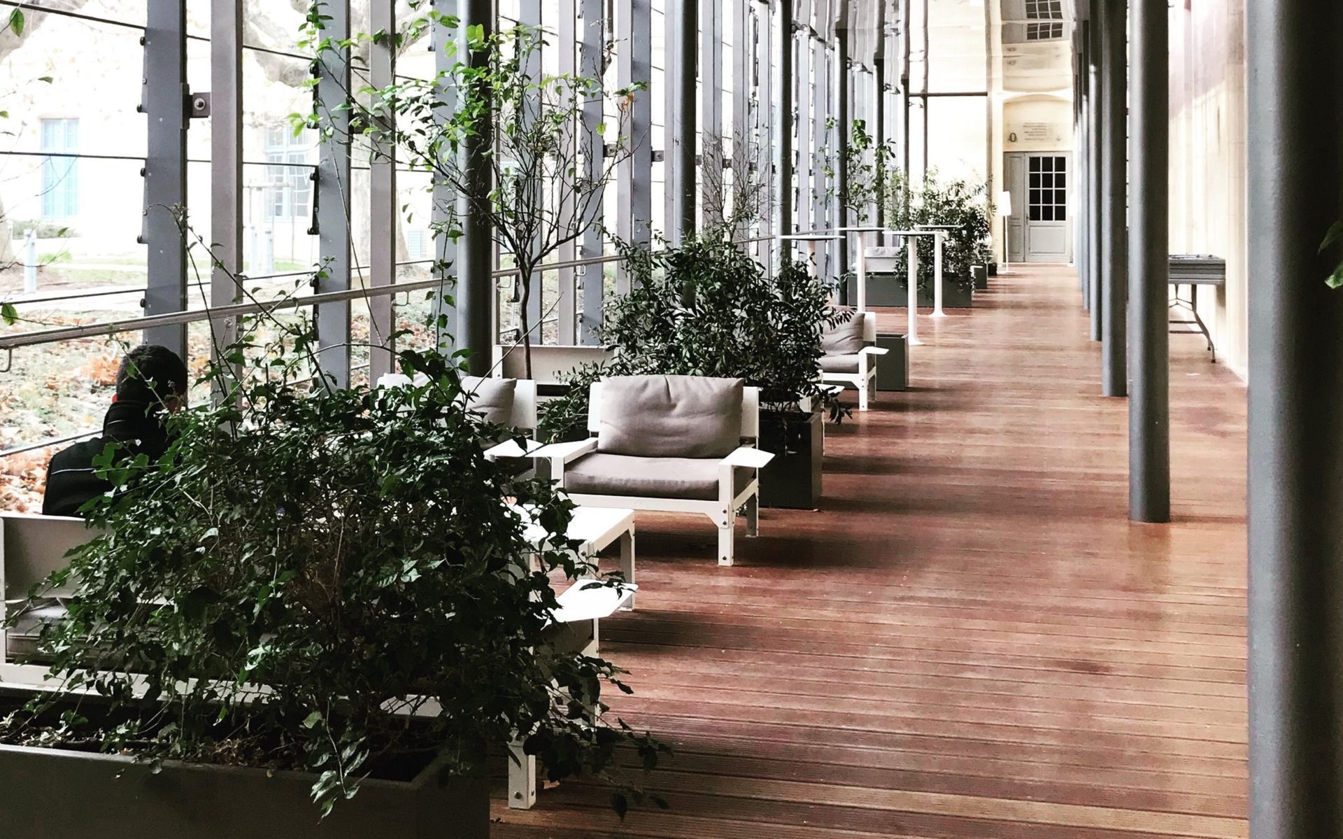 Sauberer Hotel- oder Büroflur mit Pflanzen nach professioneller Gebäudereinigung