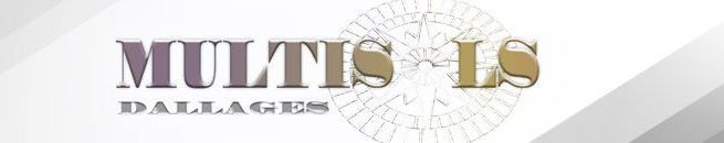 Logo de l'entreprise Multisols Dallages