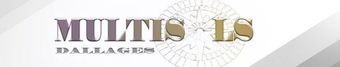 Logo de l'entreprise Multisols Dallages