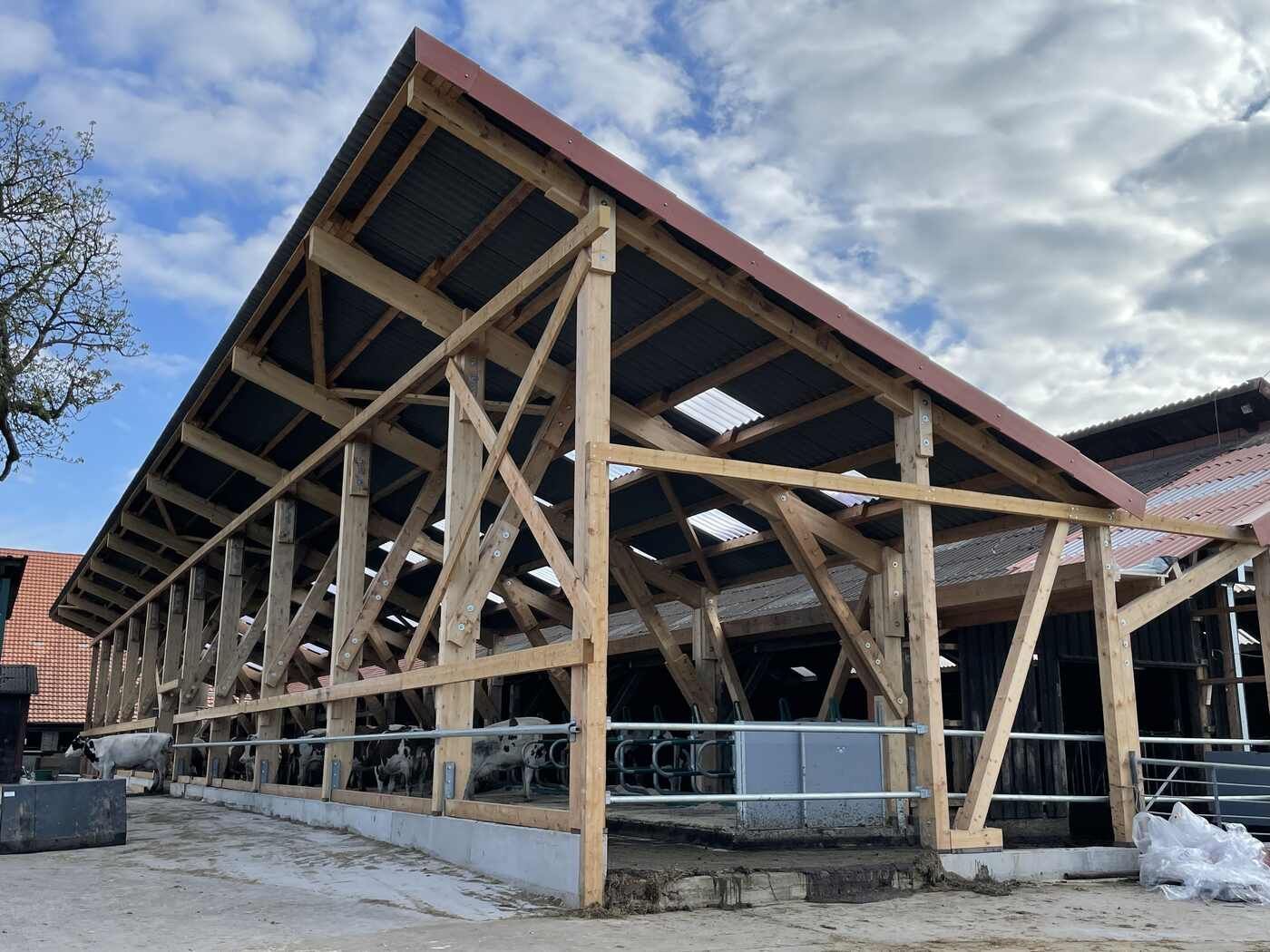 Auf einem Bauernhof wird eine große Holzkonstruktion mit Dach errichtet.