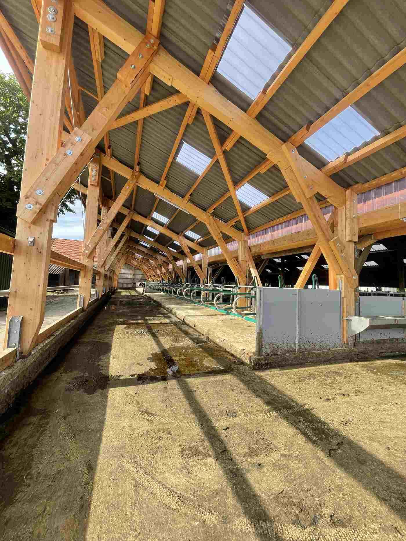 Das Innere einer Scheune mit Holzdach und Betonboden.