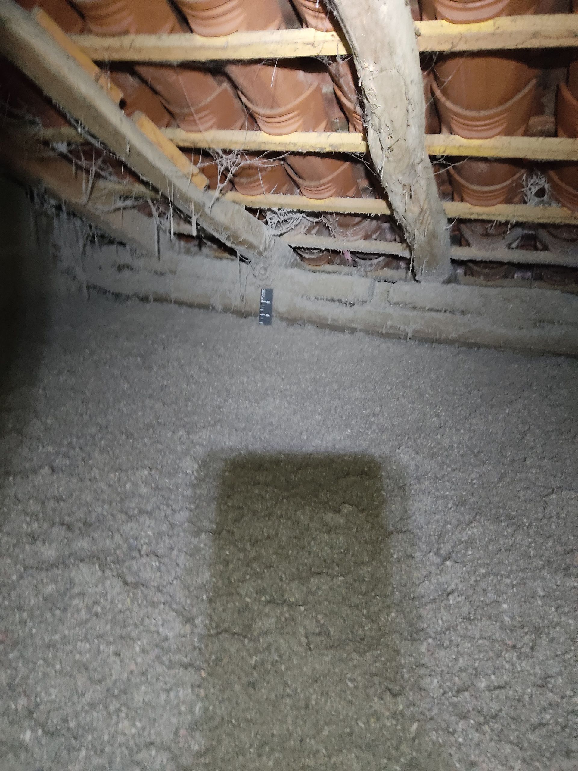 GTIsolation : soufflage de ouate de cellulose