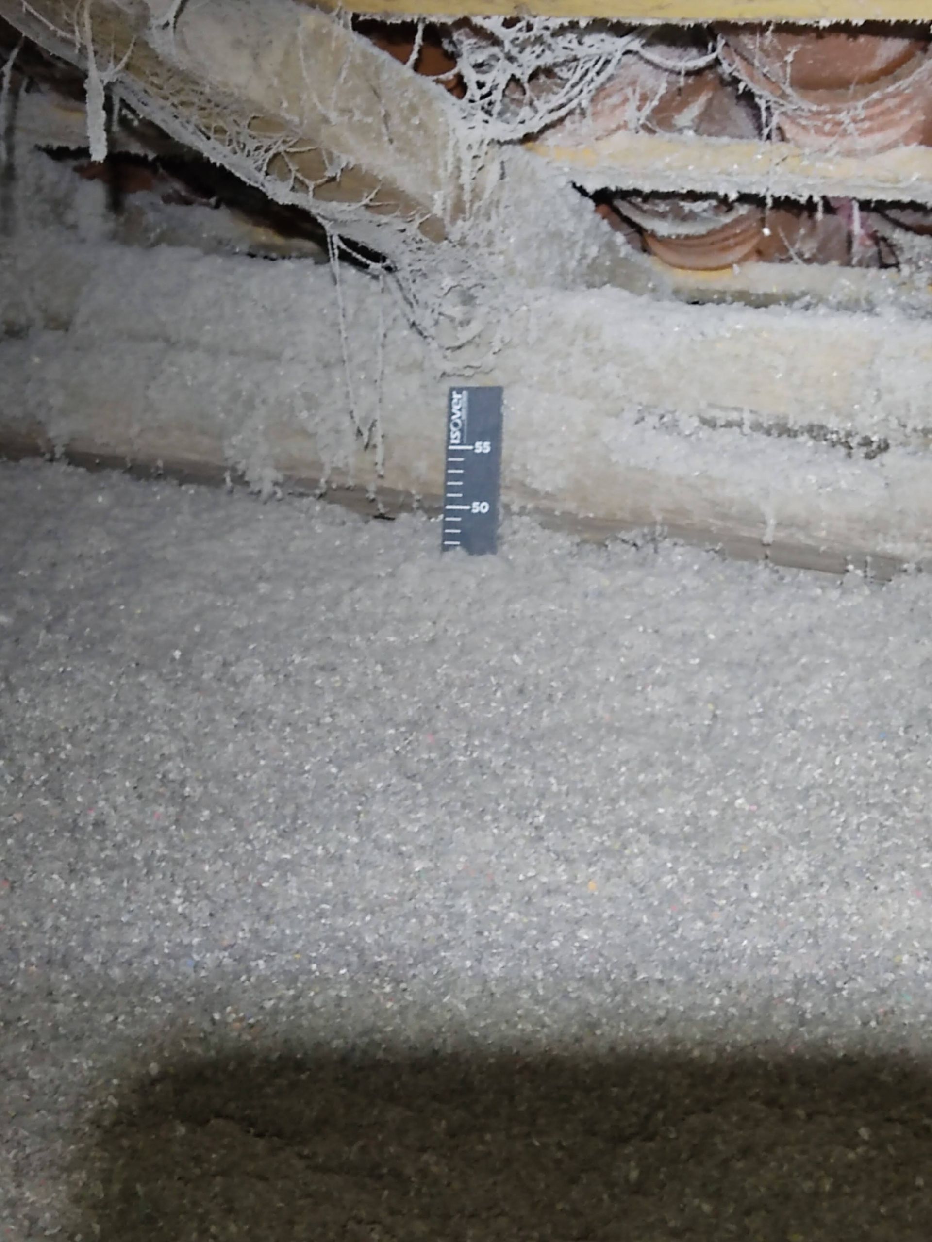 GTIsolation : soufflage de ouate de cellulose