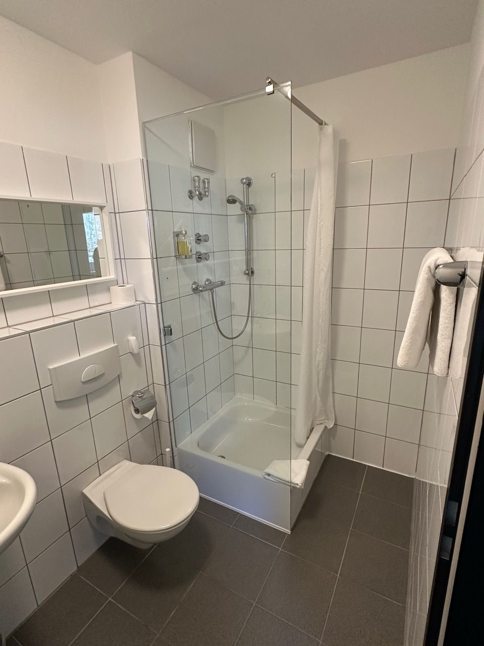 Ein Badezimmer mit Toilette, Waschbecken, Dusche und Spiegel.