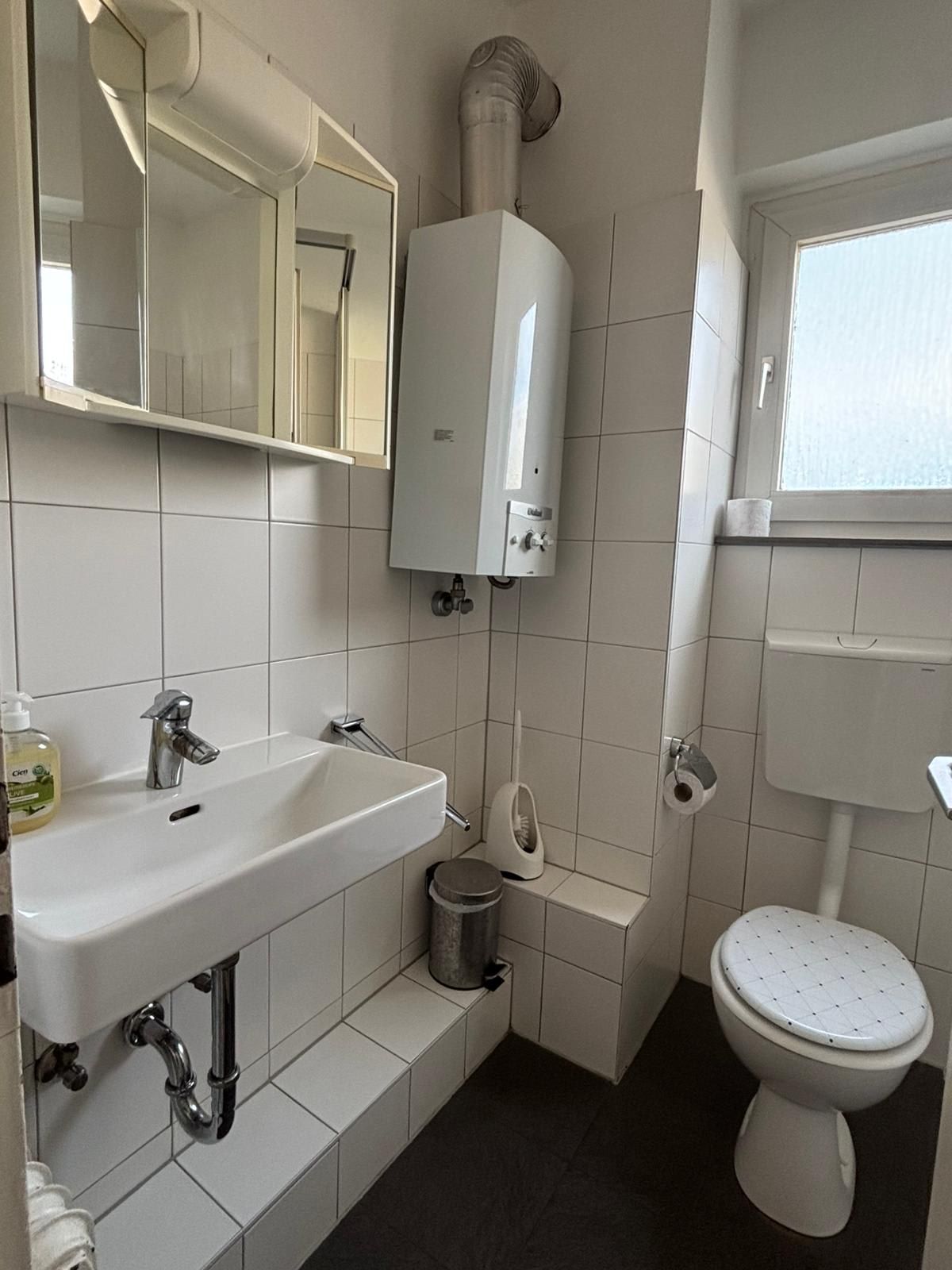 A bathroom with a sink a toilet and a mirror