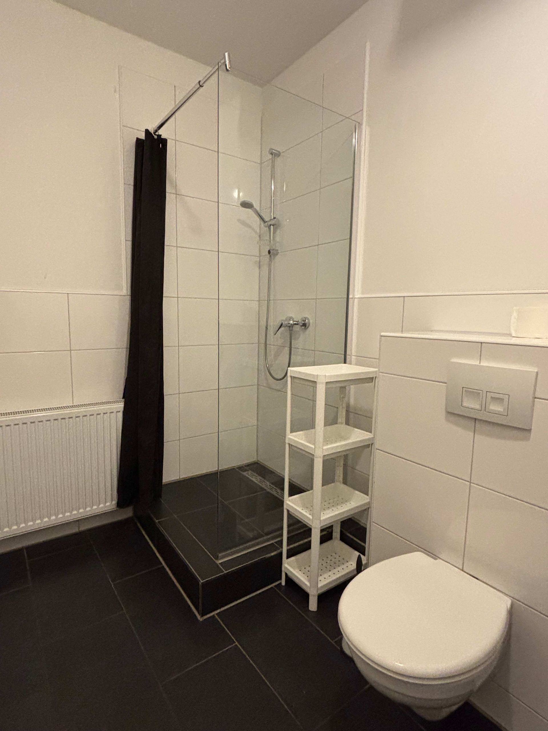 Ein Badezimmer mit Toilette, Dusche und Regal.