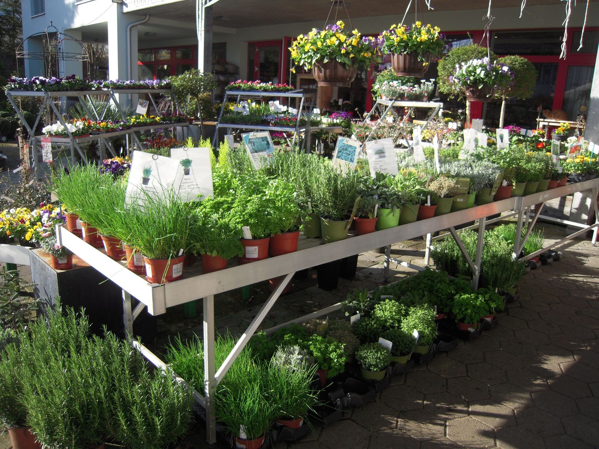 Gartenanlage - hollenstein blumengarten AG