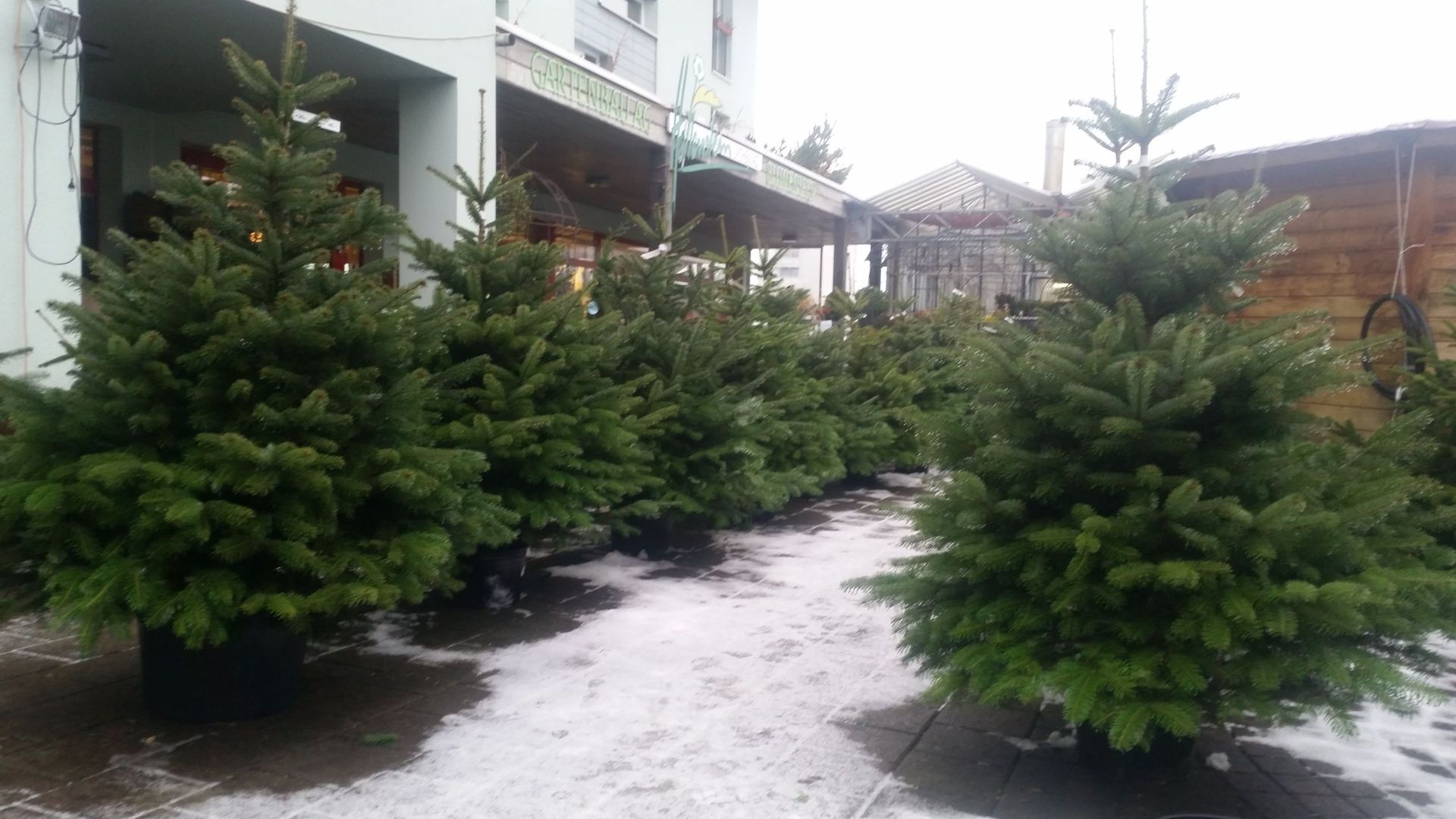 Gartenanlage - hollenstein blumengarten AG